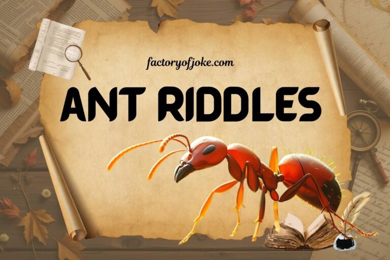 ant riddles