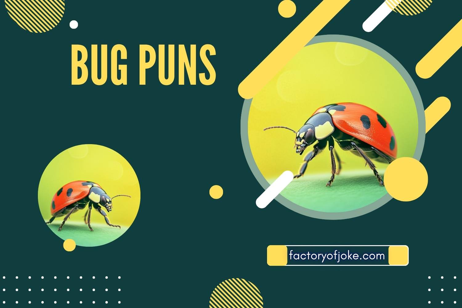 251+Bug Puns That’ll Crawl Into Your Funny Bone - factoryofjoke