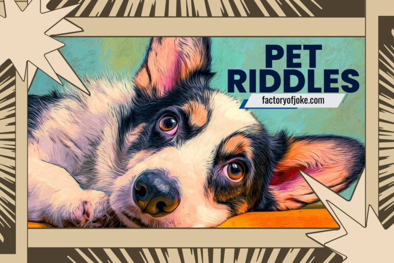 pet riddles